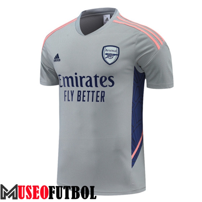 Camiseta Entrenamiento Arsenal Gris 2022/2023