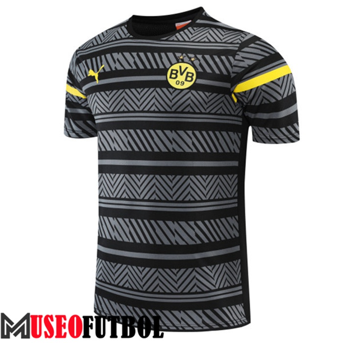 Camiseta Entrenamiento Dortmund BVB Gris 2022/2023