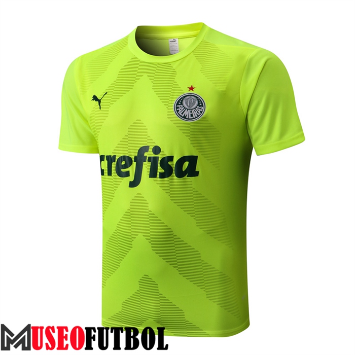 Camiseta Entrenamiento Palmeiras Verde 2022/2023