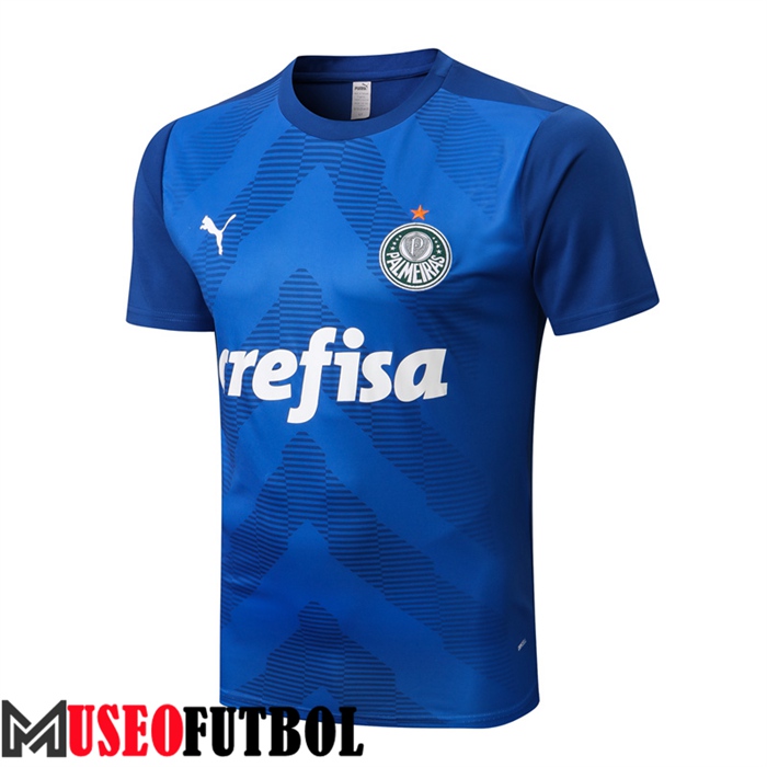 Camiseta Entrenamiento Palmeiras Azul 2022/2023