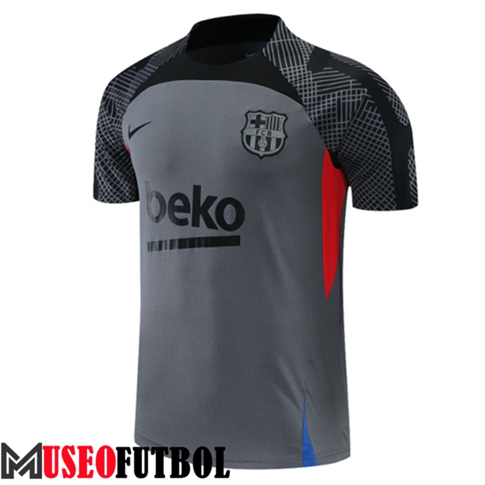 Camiseta Entrenamiento FC Barcelona Gris 2022/2023