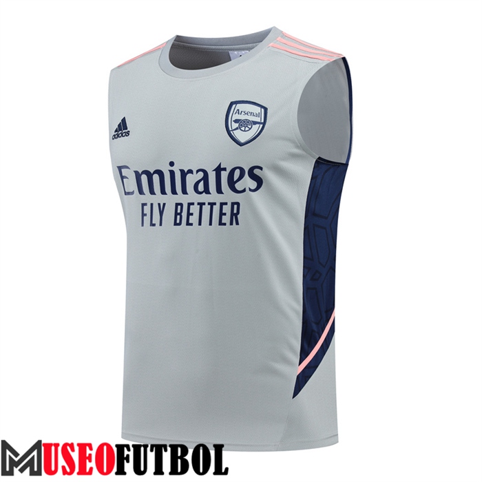 Chalecos De Futbol Arsenal Gris 2022/2023