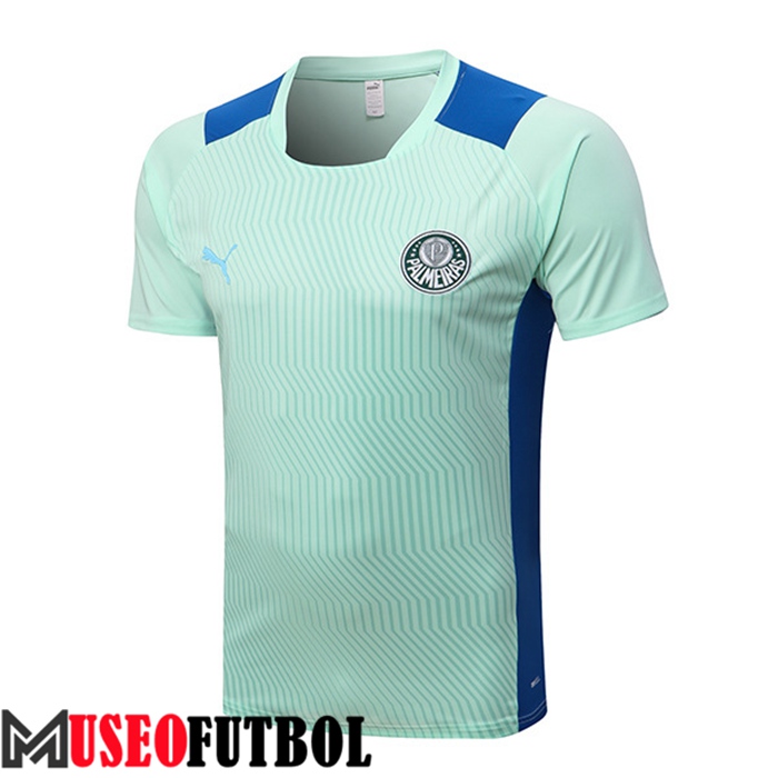 Camiseta Entrenamiento Palmeiras Verde 2022/2023