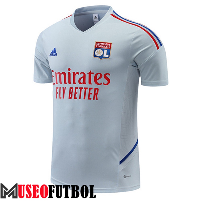 Camiseta Entrenamiento Lyon Gris 2022/2023