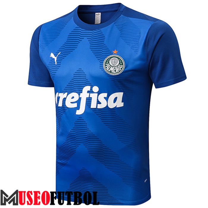 Camiseta Entrenamiento Palmeiras Azul 2022/2023