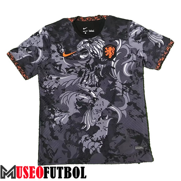 Camiseta Entrenamiento Copa Del Mundo 2022 Países Bajos Gris 2022/2023