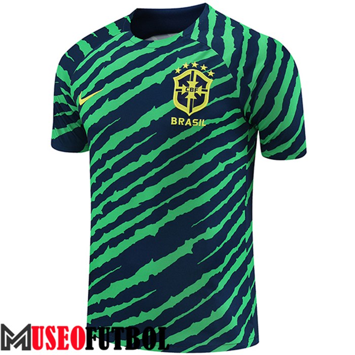 Camiseta Entrenamiento Brasil Verde/Azul 2022/2023