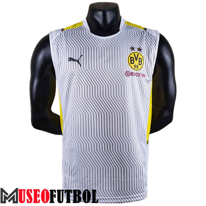 Camiseta Entrenamiento Sin mangas Dortmund Gris 2022/2023