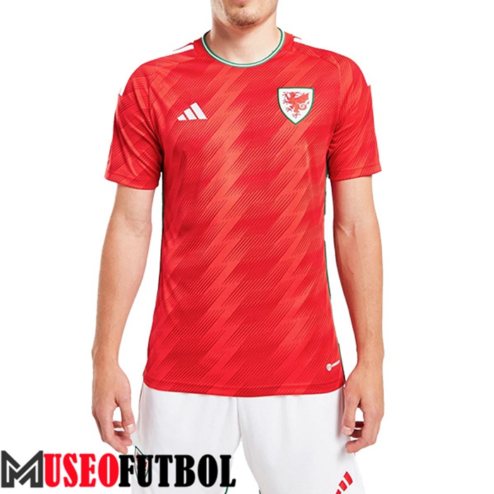 Camiseta Nacional Gales Segunda 2022/2023