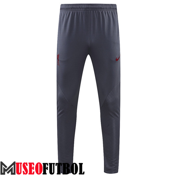 Pantalon Entrenamiento FC Liverpool Gris 2022/2023