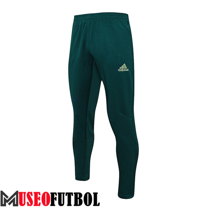 Pantalon Entrenamiento Palmeiras Verde 2022/2023