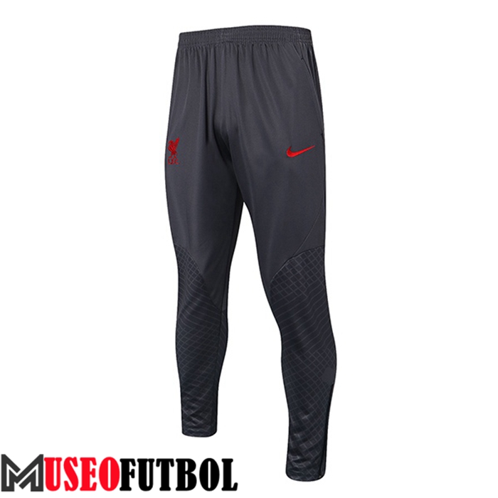 Pantalon Entrenamiento FC Liverpool Gris Oscuro 2022/2023