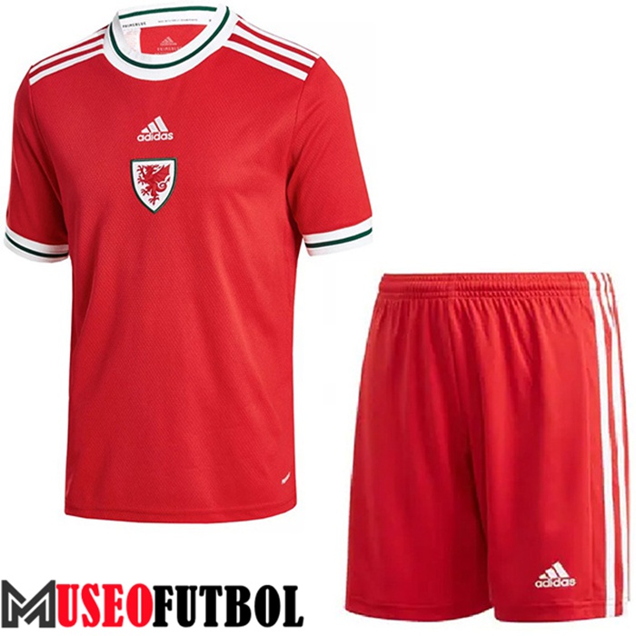 Camiseta Gales Ninos Primera 2022/2023